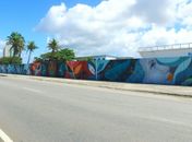 Artistas transformam muro de mais de 400 metros em galeria de arte ao ar livre em Maceió