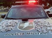 PM apreende mais de 40 munições e 1,6 kg de drogas em Maceió