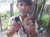 VÍDEOS: homem pobre que cria cerca de 50 animais abandonados, critica falta de apoio de seu prefeito e pede ajuda ao povo      