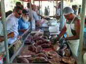 Feira do Peixe Vivo será aberta nesta quarta-feira (28)