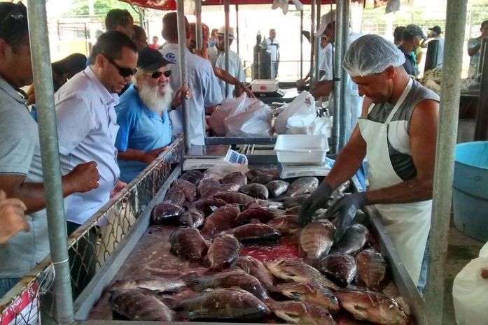 Feira do Peixe Vivo será aberta nesta quarta-feira (28)