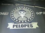 Homem baleado em Joaquim Gomes tinha mandado de prisão em aberto, diz polícia