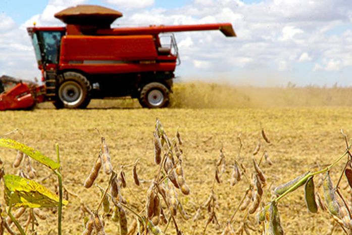 Em Alagoas, valor da produção agrícola alcança recorde de R$ 2,4 bilhões em 2020