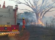 Bombeiros são acionados para conter incêndio em vegetação na BR-316