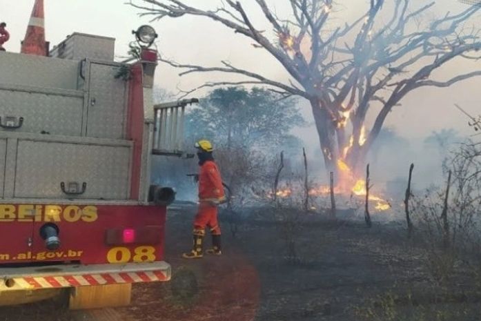 Bombeiros são acionados para conter incêndio em vegetação na BR-316