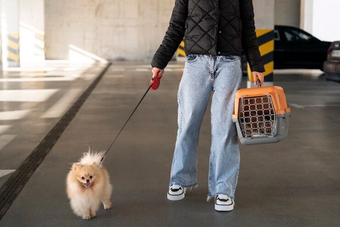 Harmonia entre moradores e pets em condomínios: “Responsabilidade em relação à limpeza em áreas comuns é obrigação contida em lei”, explica advogado