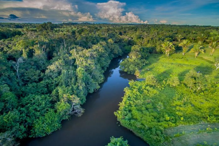 Amazônia tem junho com mais queimadas em 16 anos