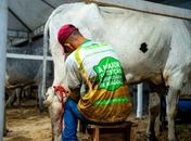 Girau do Ponciano celebra conquistas da agricultura durante Agro Show em Arapiraca