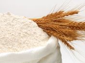 Grupo Motrisa recebe transmissão de terreno para instalação de nova unidade em Murici