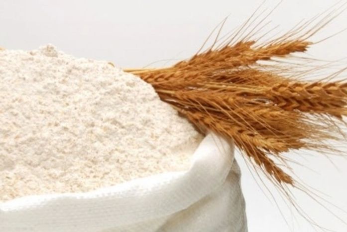 Grupo Motrisa recebe transmissão de terreno para instalação de nova unidade em Murici