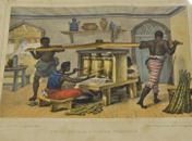 Exposição na Biblioteca Nacional destaca o trabalho de ilustradores brasileiros