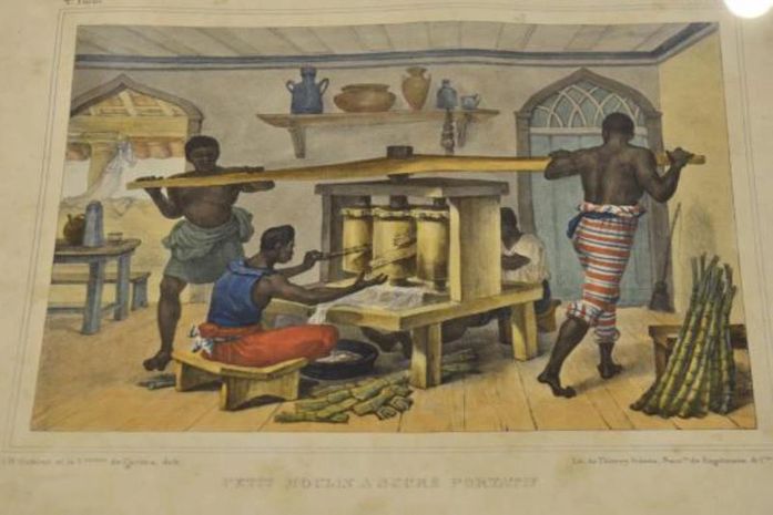 Exposição na Biblioteca Nacional destaca o trabalho de ilustradores brasileiros