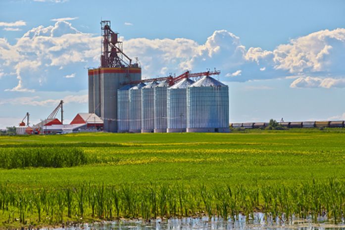 Produção Agropecuária deve superar a de 2020