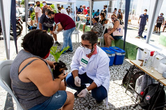 Braskem e Ufal realizam mais de 700 atendimentos veterinários com o Programa de Acolhimento de Animais