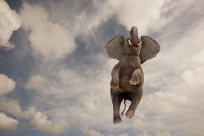 O Banco Mundial e seus Elefantes