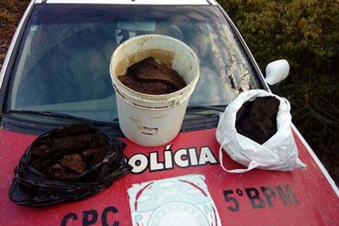 Após denúncia, militares apreendem 16 kg de maconha que estava em processo de secagem