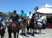 Organização de Vaquejada transfere evento de Alagoas para Pernambuco