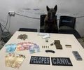 Com auxílio de cadela farejadora, PM combate o tráfico em ações em Arapiraca e Maceió