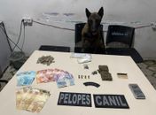 Com auxílio de cadela farejadora, PM combate o tráfico em ações em Arapiraca e Maceió