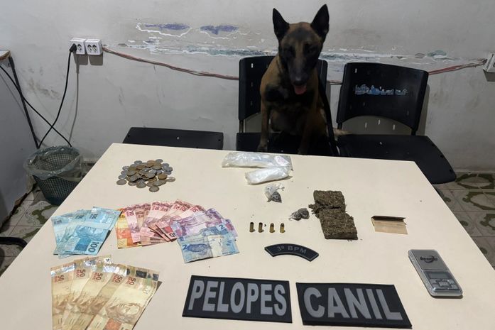Com auxílio de cadela farejadora, PM combate o tráfico em ações em Arapiraca e Maceió