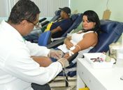 Hemoal promove coleta externa de sangue em Arapiraca nesta terça-feira
