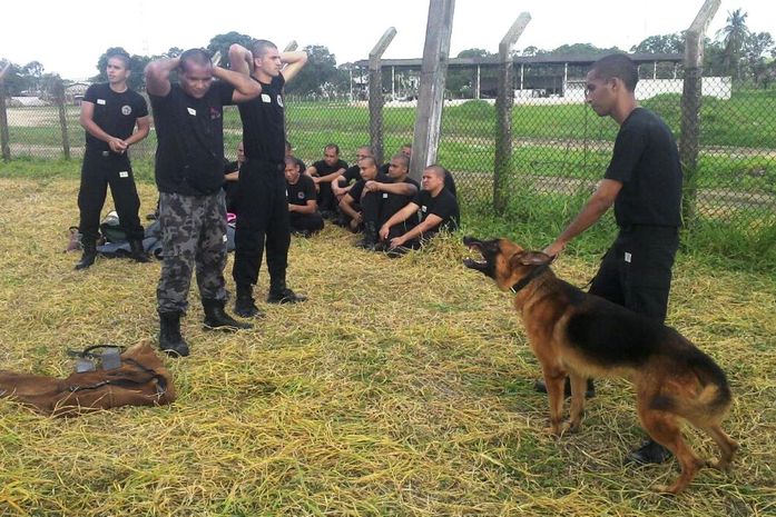 Tropa do Canil da Polícia Militar passa por estágio de nivelamento operacional