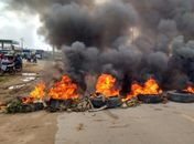 Manifestantes bloqueiam AL-105 contra fechamento de matadouro