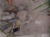 Cabos de iluminação da Pierre Chalita são furtados pela 4ª vez este ano