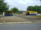 Ladrões de ovelhas estão agindo no Sertão de Alagoas 