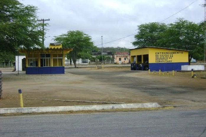 Ladrões de ovelhas estão agindo no Sertão de Alagoas