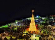 Árvore de natal em Pilar