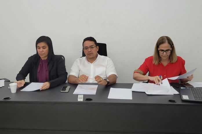 Diretoria Ampliada do Cosems/AL discute reajuste do piso salarial de ACS e ACE