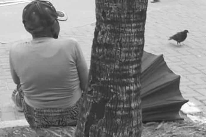 A preta idosa, Quitéria está com um novo corte de cabelo, e isso não tem nada a ver com moda. O motivo foram os piolhos.