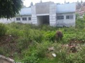 Desperdício do dinheiro público em Traipu, UBS está abandonada