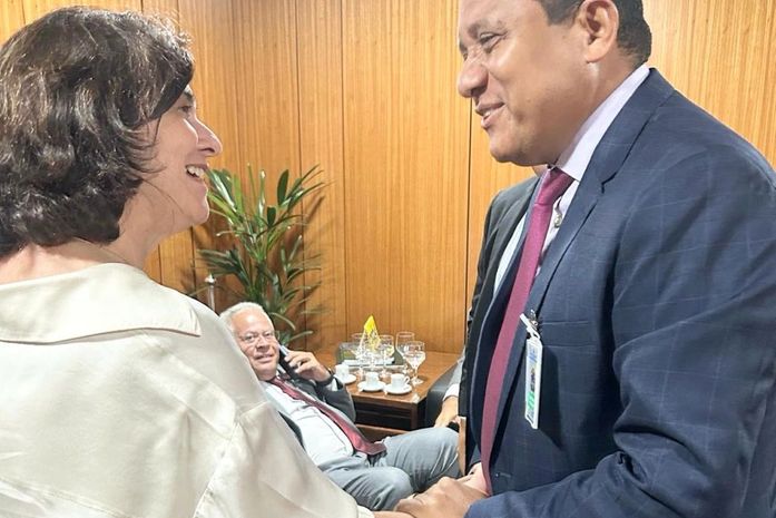 Prefeito Júlio Cezar e ministra Nísia Trindade discutem fortalecimento das ações da Saúde em Palmeira