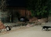 Criança de 1 ano e 9 meses morre após ser atropelada por carro que invadiu residência no Sertão de AL