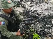  Extração ilegal de carvão vegetal na APA da Marituba