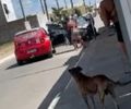 Guarda municipal sofre atentado a tiros no interior de AL; polícia identifica suspeitos