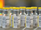 São Paulo confirma primeiro caso de febre amarela em humano em 2025