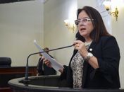 Deputada usou a tribuna para falar sobre os 13 anos da lei.