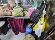 Equipamentos enferrujados e presença de baratas: food truck é interditado na orla de Ponta Verde