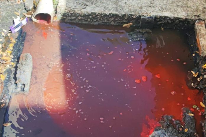 Crime ambiental: síndico é preso em Maceió suspeito de lançamento de esgoto em rio