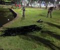 Bombeiros resgatam corpo de homem encontrado na Lagoa da Anta