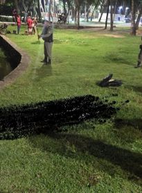 Bombeiros resgatam corpo de homem encontrado na Lagoa da Anta