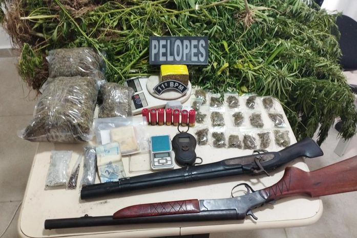 Plantação de maconha é descoberta em ilha de Penedo durante operação policial; homem é preso