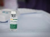 Vacina brasileira contra a dengue mantém eficácia por até 5 anos
