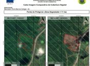 MPF ajuíza ação por desmatamento de área protegida em terra indígena no interior de AL