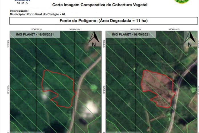 MPF ajuíza ação por desmatamento de área protegida em terra indígena no interior de AL