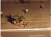 Torcedor espancado no Jaraguá sofreu traumatismo craniano e está estável no HGE