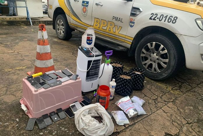 Estudante de enfermagem preso com plantação de maconha diz "é experimento do meu TCC"